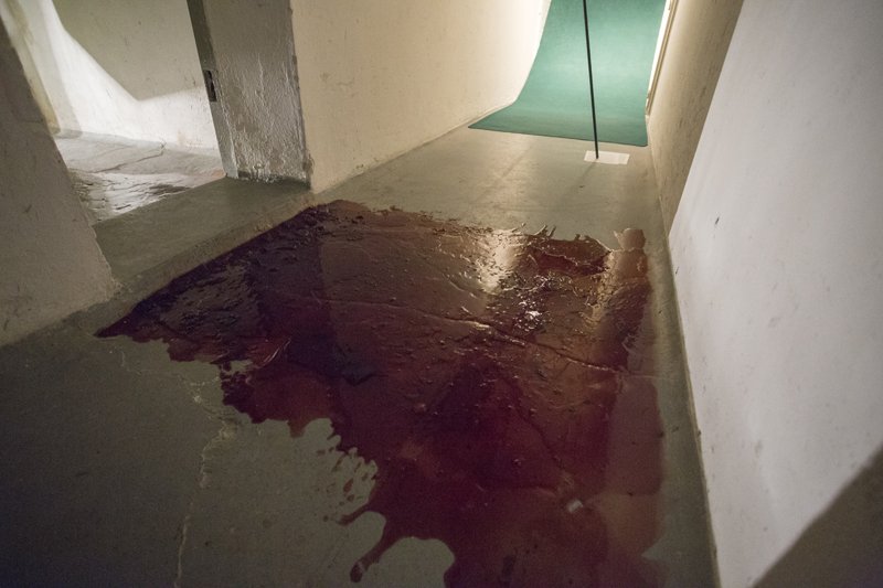 Dear Madam, Sliced Mist view 12