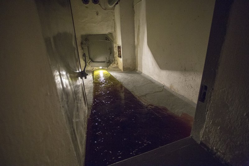 Dear Madam, Sliced Mist view 13