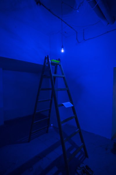 Dear Madam, Sliced Mist view 3