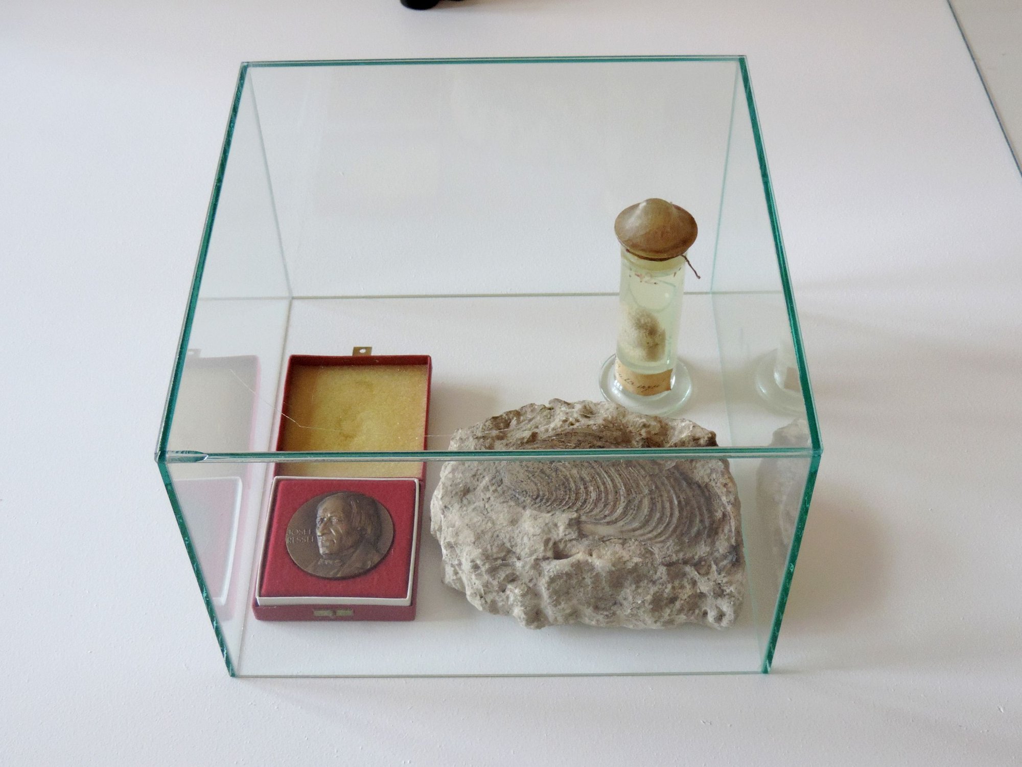 Episode I. - Collection in the Museum view 9