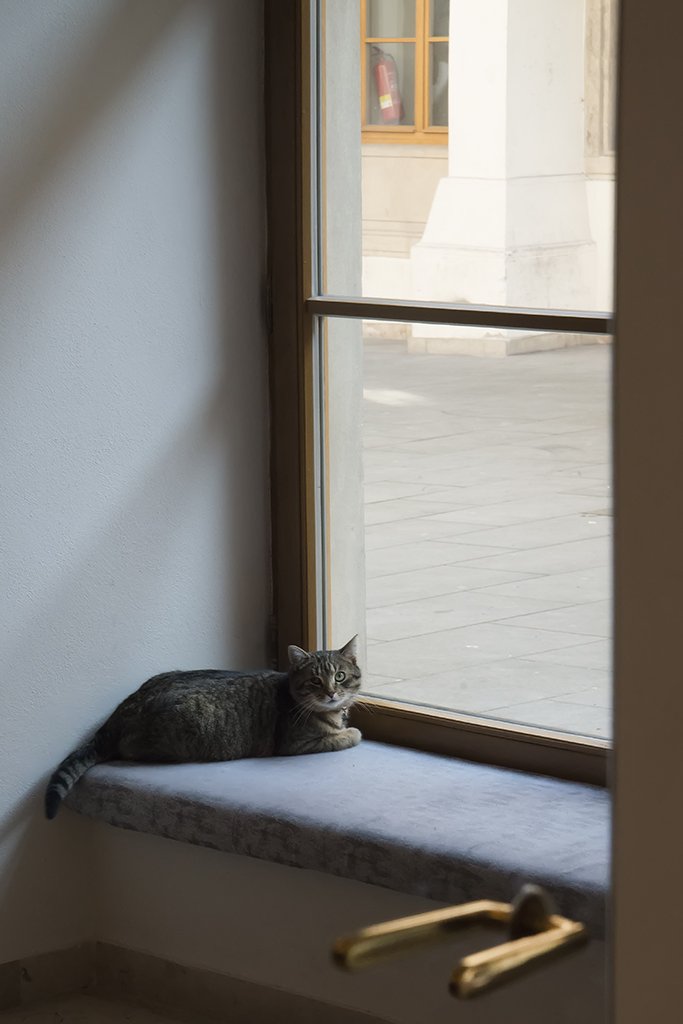 Episode II - Object Horizon view 4