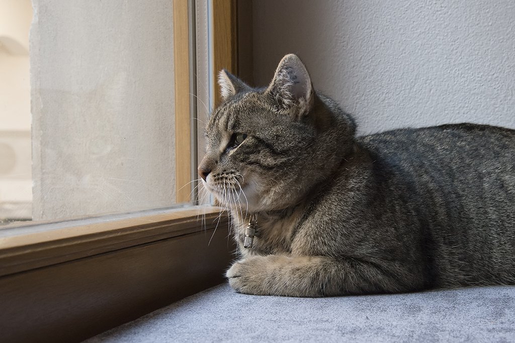 Episode II - Object Horizon view 5