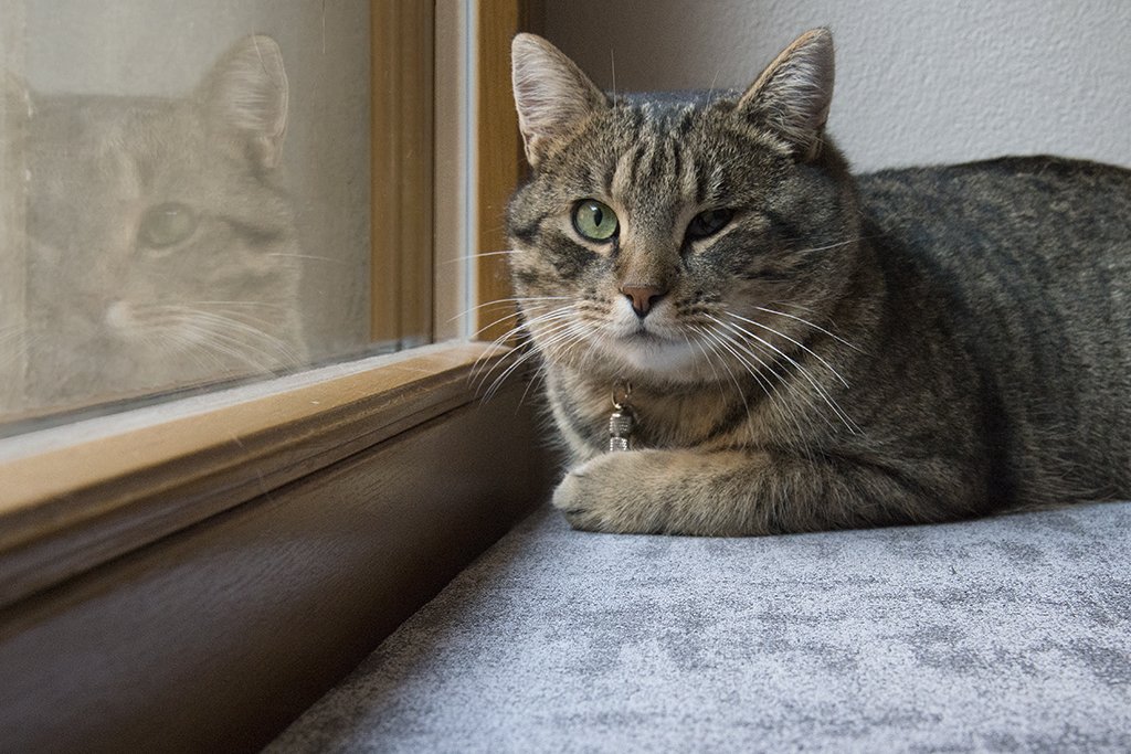 Episode II - Object Horizon view 6