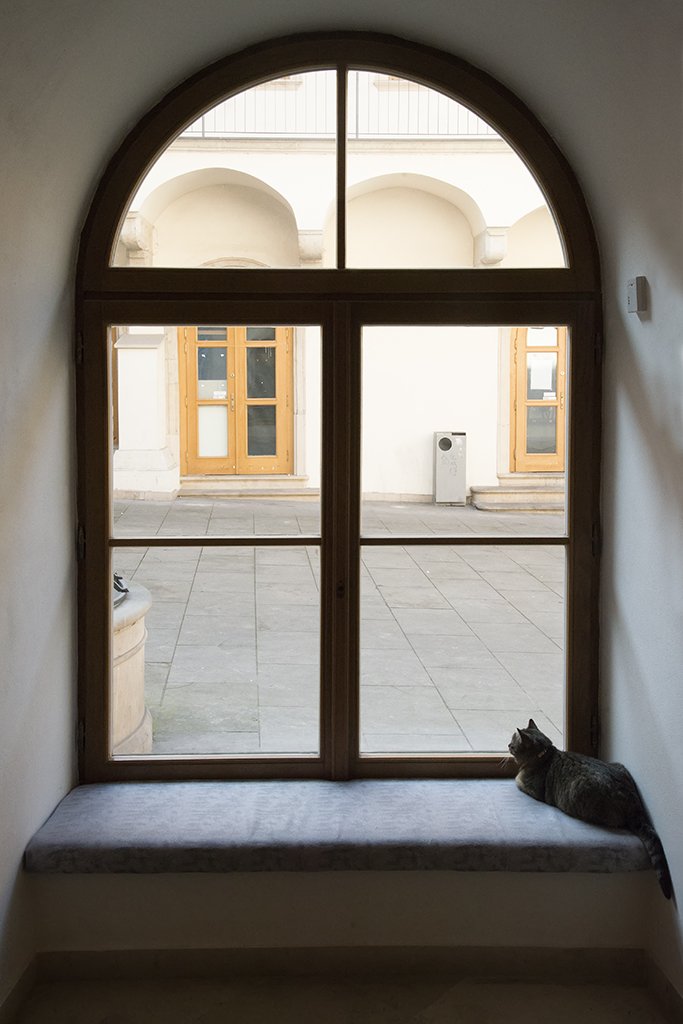 Episode II - Object Horizon view 7