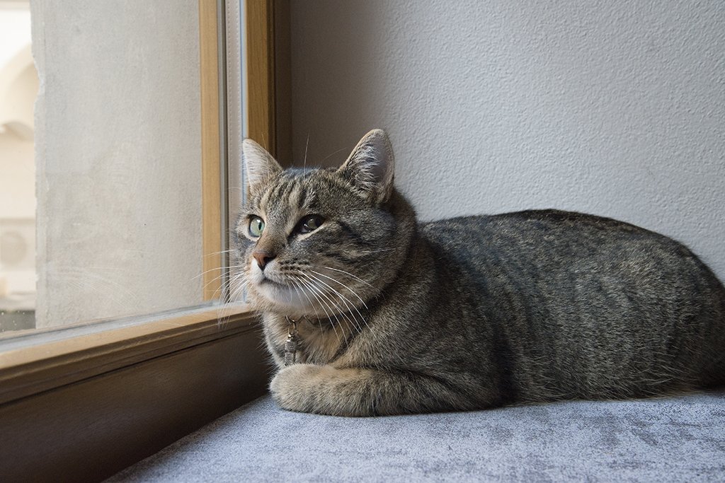 Episode II - Object Horizon view 8