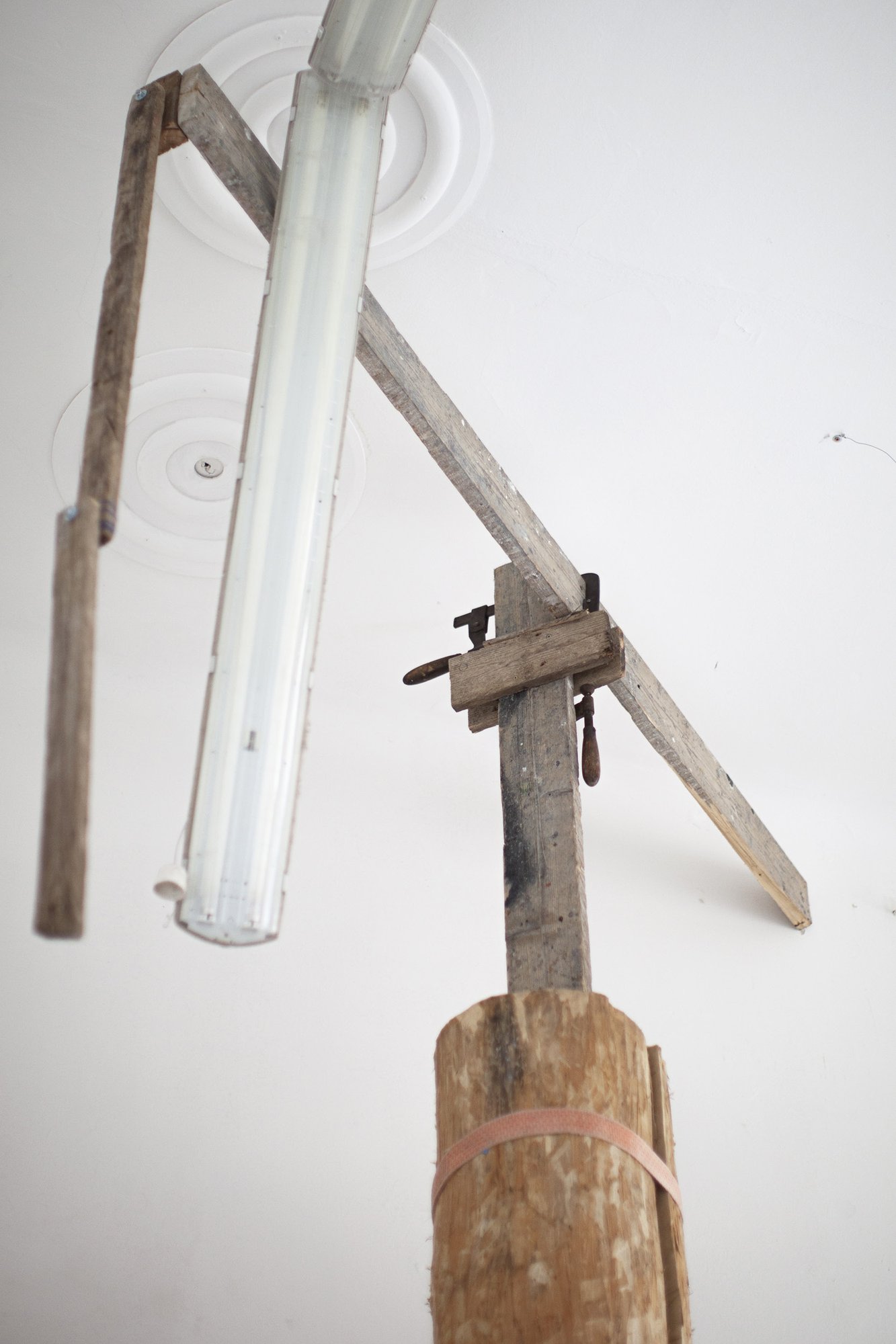 Make Your Dreams Come Backyard view 1