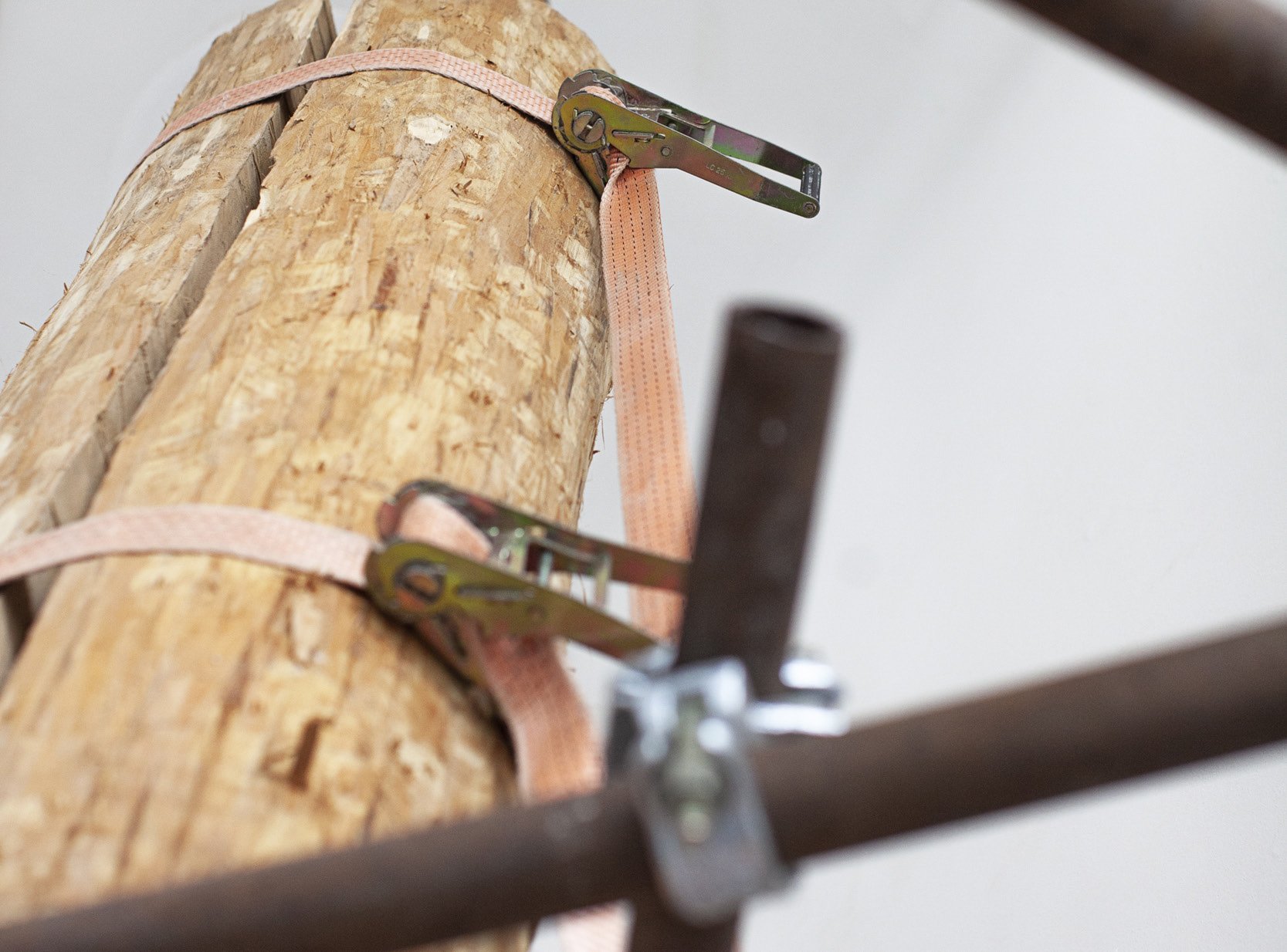 Make Your Dreams Come Backyard view 2