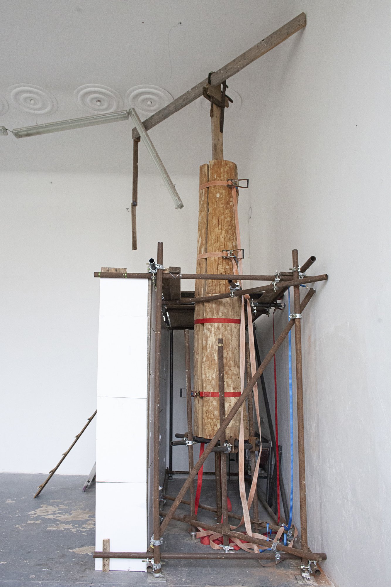 Make Your Dreams Come Backyard view 3