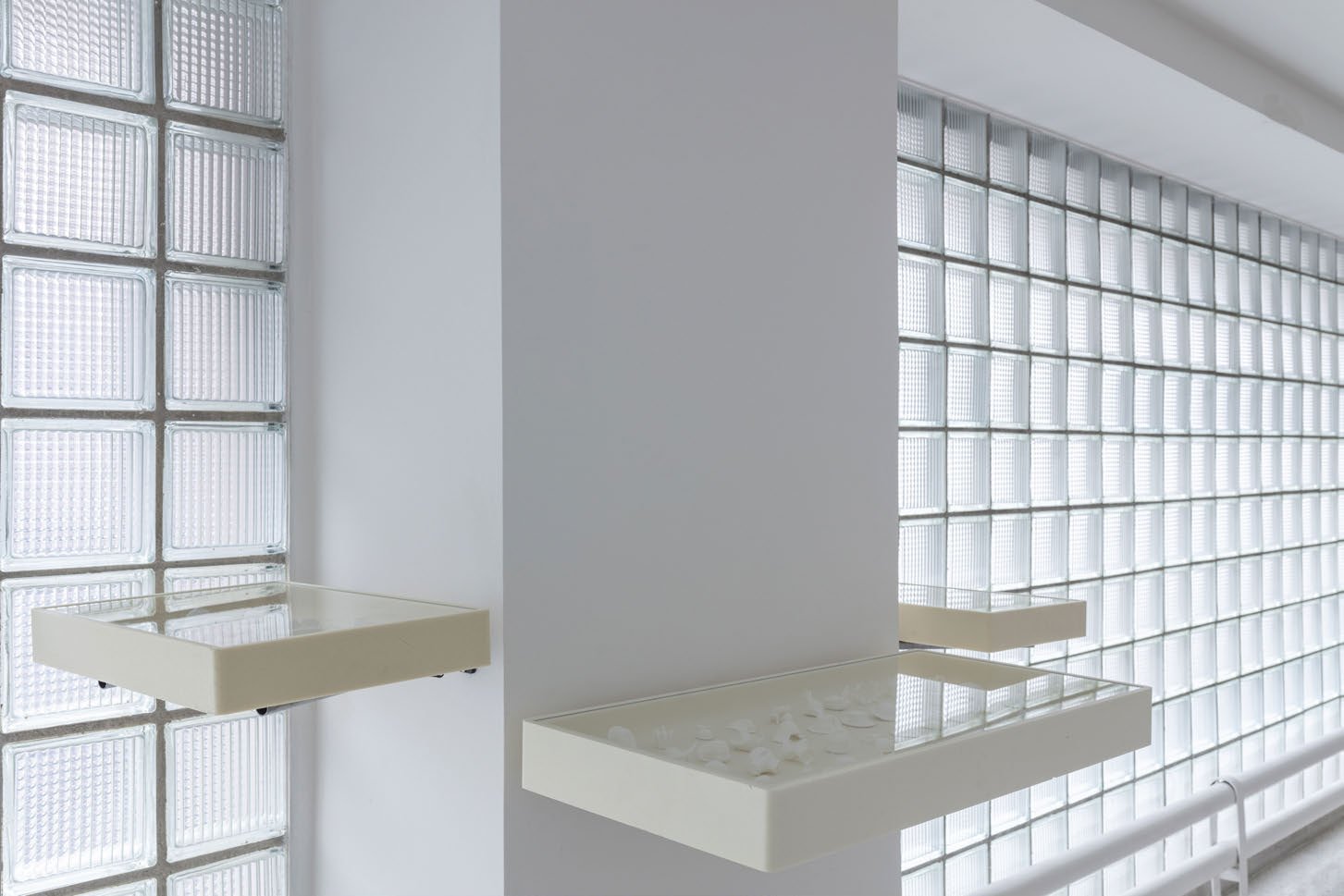 Place of Family view 4